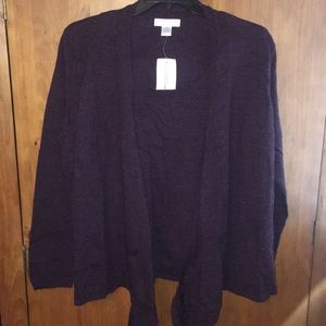 Sarah Spencer wool Fly Away Sweater (21)
